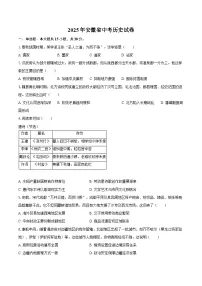 2025年安徽省中考历史试卷（含解析）