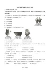 2025年河南省中考历史试卷（含解析）
