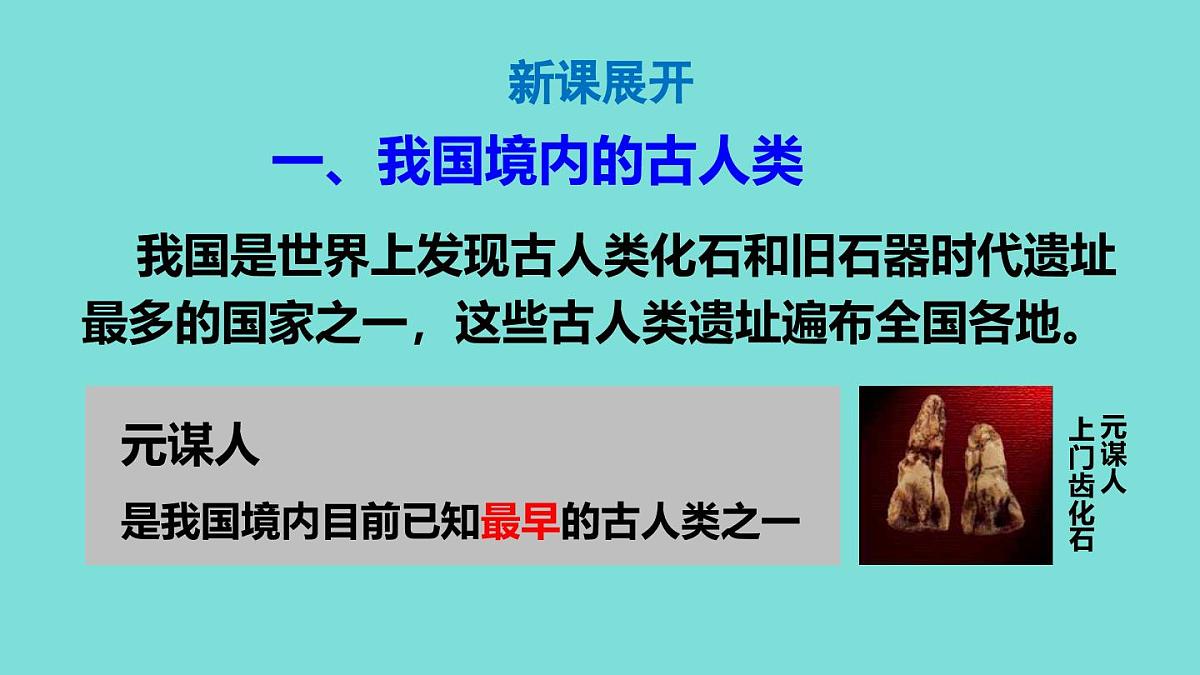 2025年秋部编版七年级历史上册 第1课 远古时期的人类活动(课件)第4页