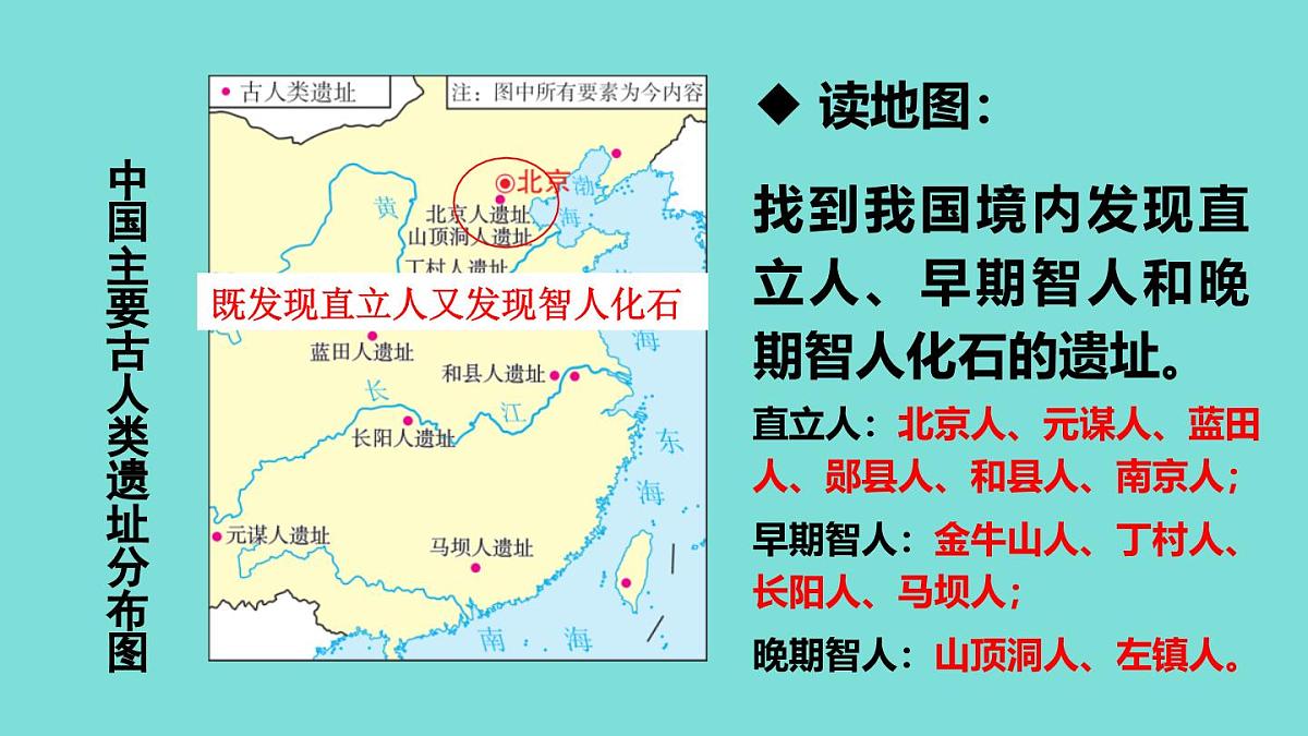 2025年秋部编版七年级历史上册 第1课 远古时期的人类活动(课件)第7页
