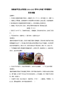 河南省平顶山市郏县2024-2025学年七年级下学期期中真题历史试卷（解析版）