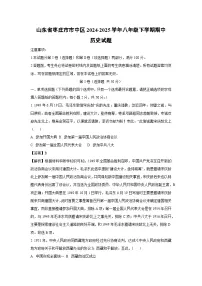 山东省枣庄市市中区2024-2025学年八年级下学期期中历史试卷（解析版）