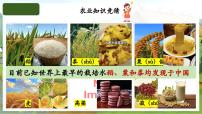 人教版（2024）原始农业与史前社会课文内容课件ppt