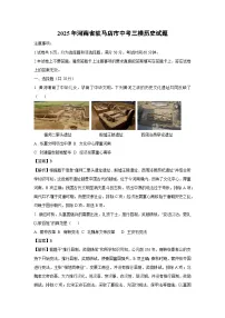【历史】2025年河南省驻马店市中考三模试题（解析版）