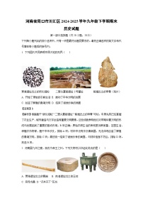 【历史】河南省周口市川汇区2024-2025学年九年级下学期期末试题（解析版）