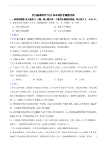 四川省德阳市2025年中考历史真题试卷及同步解析