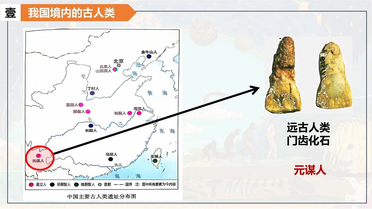统编版(部编版)(2024)七年级上册第1课 远古时期的人类活动 课件第7页