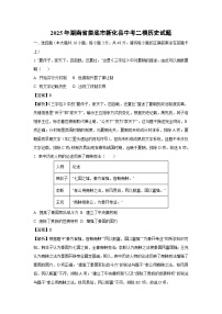 2025年湖南省娄底市新化县中考二模历史试卷（解析版）