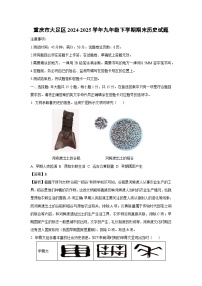重庆市大足区2024-2025学年九年级下学期期末历史试题（解析版）