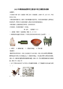 2025年陕西省咸阳市三原县中考三模历史试题（解析版）