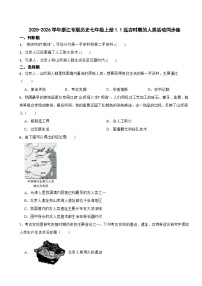 初中历史人教版（2024）七年级上册（2024）远古时期的人类活动一课一练