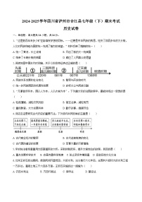 2024-2025学年四川省泸州市合江县七年级（下）期末历史试卷（含答案）