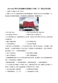 2024-2025学年山东省德州市禹城市八年级（下）期末历史试卷（含答案）