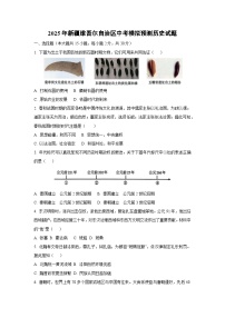 2025年新疆维吾尔自治区中考模拟预测历史试卷（学生版）