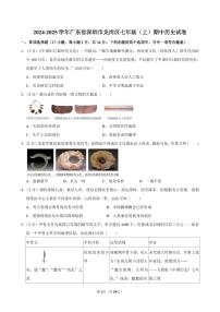 2024-2025学年深圳市龙岗区七年级上学期期中历史试卷及答案