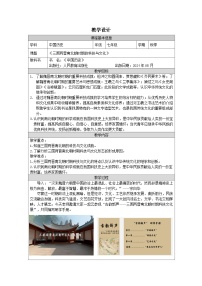 初中历史人教版（2024）七年级上册（2024）三国两晋南北朝时期的科技与文化教案