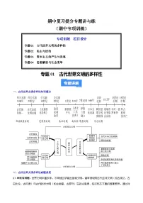期中复习提分专题讲与练(期中专项训练)九年级历史上学期统编版练习+答案