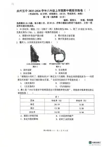 福建省泉州市第五中学2025-2026学年八年级历史上学期期中模拟试卷