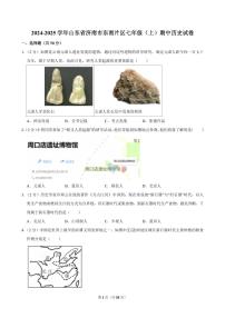 2024-2025学年山东省济南市东南片区七年级（上）期中历史试卷
