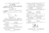 山东省烟台市莱州市（五四学制）2025-2026学年七年级上学期11月期中历史试题
