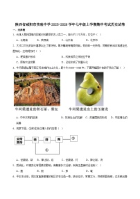 陕西省咸阳市实验中学2025-2026学年七年级上学期期中考试 历史试卷