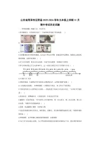 山东省菏泽市巨野县2025-2026学年九年级上学期11月期中考试 历史试卷（学生版）