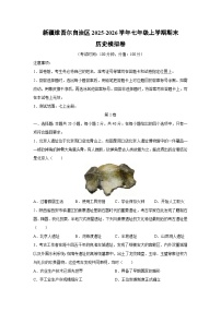 2025-2026学年新疆维吾尔自治区七年级上学期期末模拟卷历史试卷(学生版)
