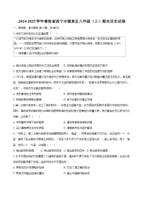 2024-2025学年青海省西宁市城东区八年级（上）期末历史试卷-自定义类型