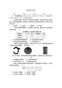 2025--2026学年上学期七年级历史期中综合评价卷(含答案)