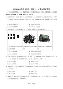 2024-2025学年深圳市龙华区七年级上册期末历史试卷含答案
