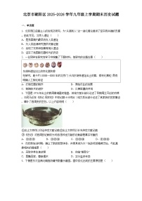 北京市朝阳区2025-2026学年九年级上学期期末历史试题（解析版）