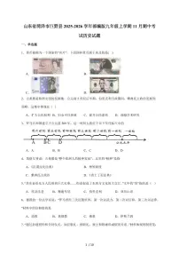 山东省菏泽市巨野县2026届九年级上册11月期中考试历史试卷（含答案）