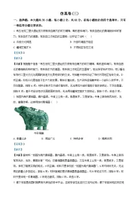 2025年广东省梅州市兴宁市中考模拟卷（三）历史试题（解析版）-A4