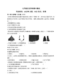 河南省郑州市郑州外国语学校2025_2026学年七年级上学期期中历史试卷（文字版，含答案）