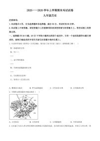 河南省新乡市长垣市2025-2026学年上学期历史期末九年级考试试卷（原卷+解析）