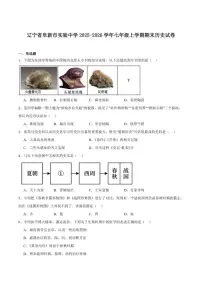 辽宁省阜新市实验中学2025-2026学年七年级上学期期末考试历史试卷（含答案）