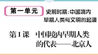 历史人教部编版第一单元 史前时期：中国境内人类的活动第一课 中国早期人类的代表—北京人背景图课件ppt