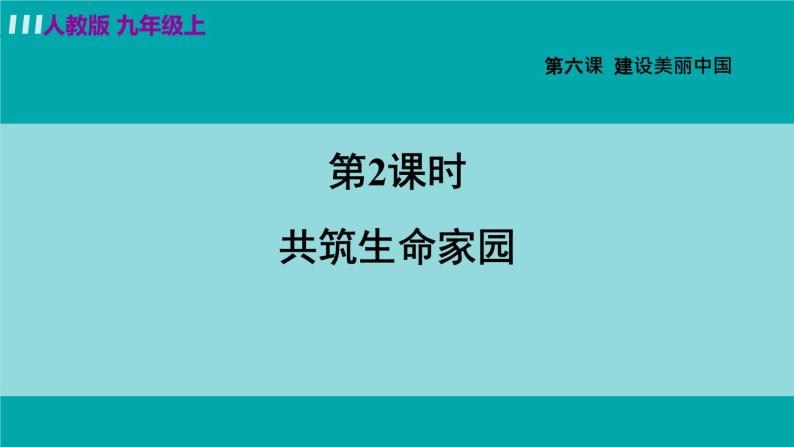 6.2 共筑生命家园课件02