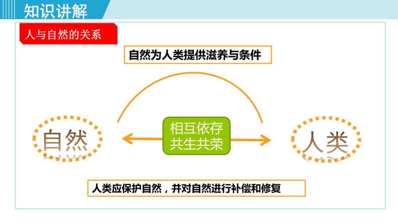 6.2 共筑生命家园课件05