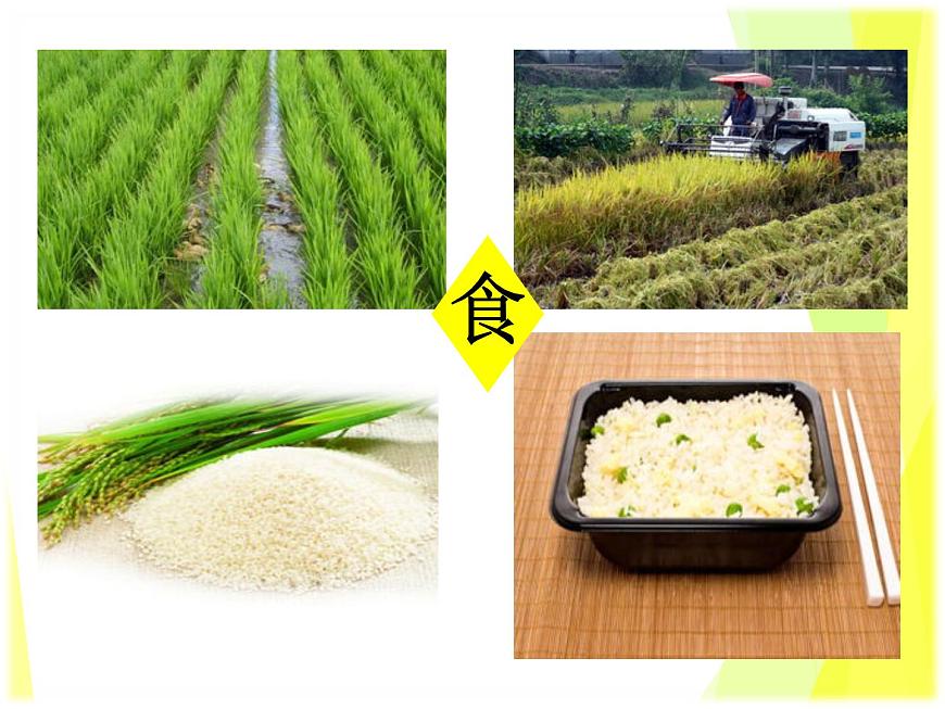 1.2 在社會中成長 課件-部編版道德與法治八年級上冊(共30張PPT)第7頁