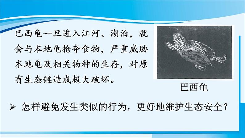 人教版八年级道德与法治上册 第四单元 第九课 树立总体国家安全观 第2课时 维护国家安全 课件第4页