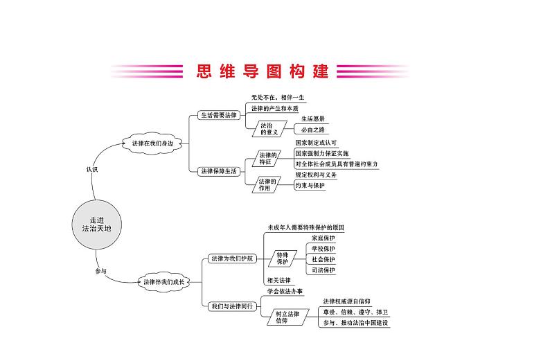 2021-2022学年部编版道德与法制中考复习之七年级下册 第四单元走进法治天地课件PPT第2页