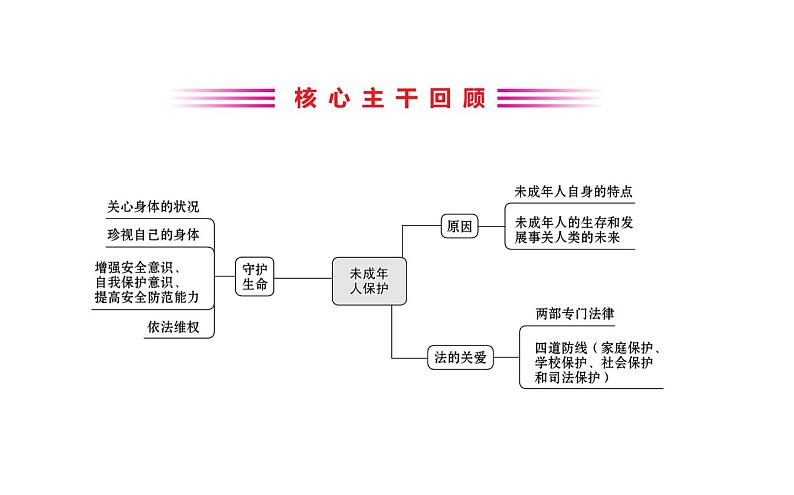 2021-2022学年部编版道德与法制中考复习之守护生命安全 关爱幼苗成长课件PPT02