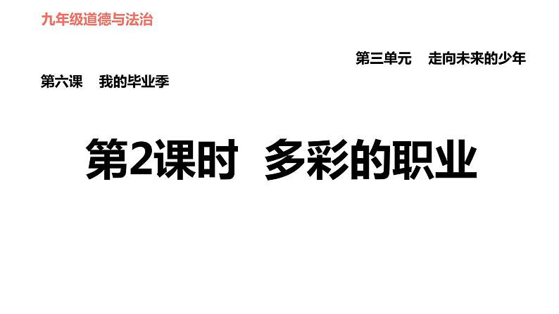人教版(河北专版)九年级下册道德与法治课件 第3单元 第6课 第2课时 多彩的职业习题课件01