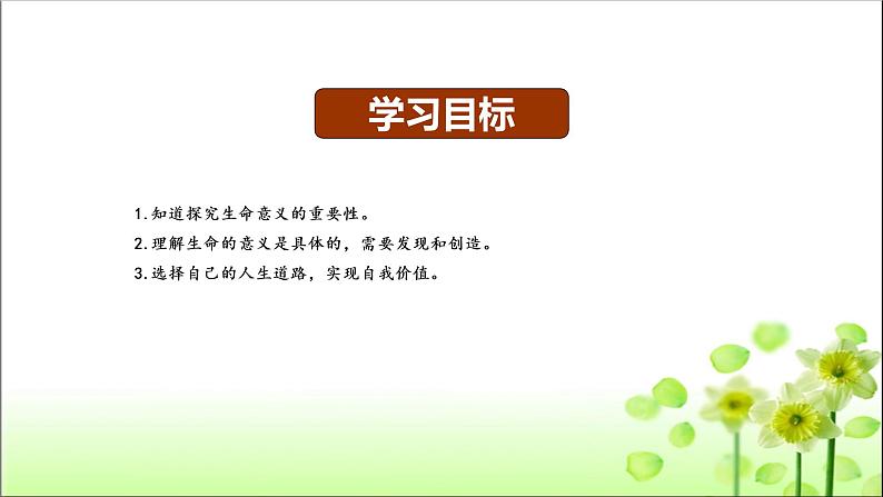10.1生命的意义课件第3页