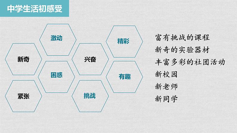 部编版《道德与法治》七年级上册:1.1 中学序曲 课件(共22张PPT)第5页