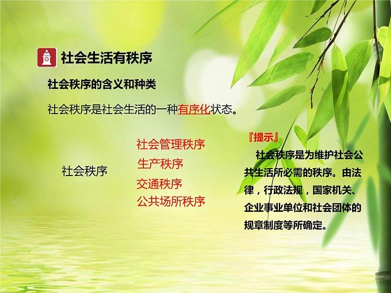 部编版《道德与法治》八年级上册:3.1 维护秩序 课件(共23张PPT)第7页
