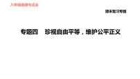 人教版八年级下册道德与法治 期末复习专题 习题课件