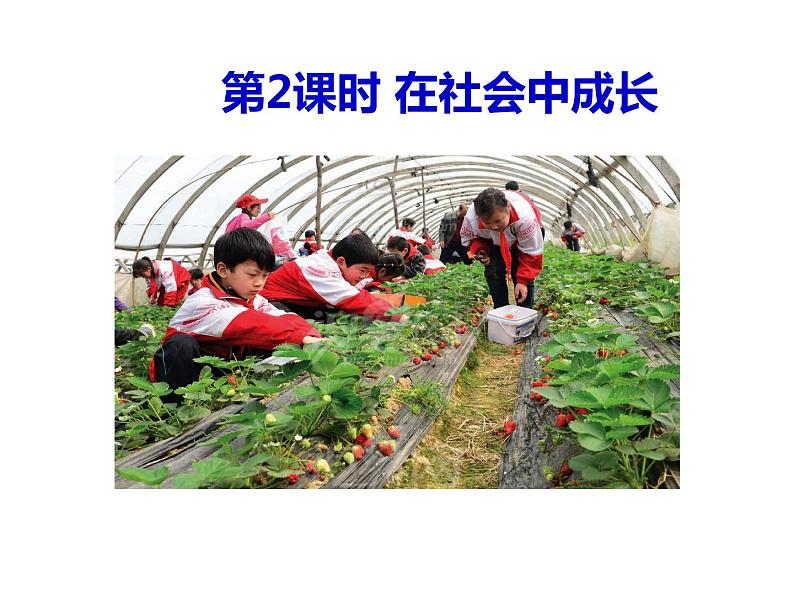 1.2 在社会中成长课件PPT02