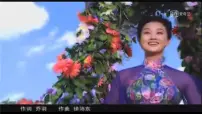 初中政治思品人教部编版九年级上册（道德与法治）促进民族团结示范课课件ppt